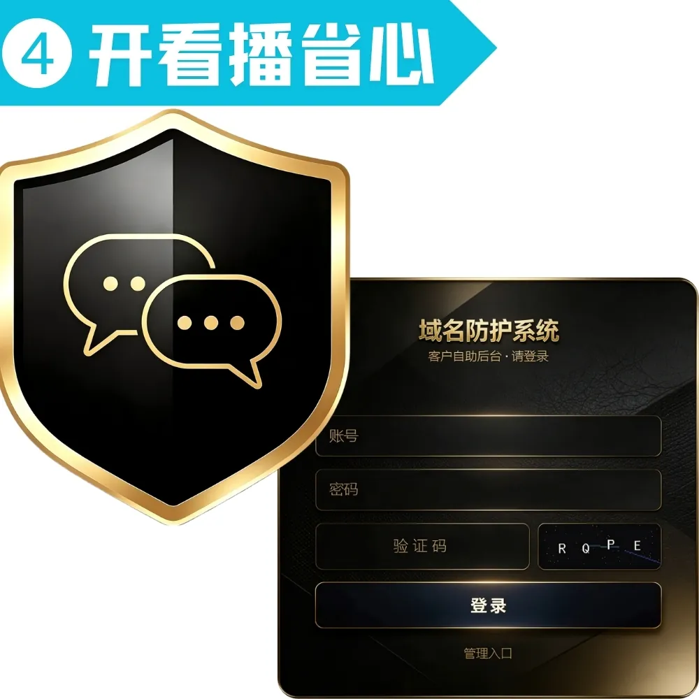 域名防护